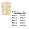 Solid Drawn Hinge(Polished Brass) -100x60mm