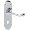 Oakley Door Handles On Backplate, Polished Chrome (sold in pairs)