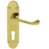 Oakley Door Handles On Backplate, Polished Brass (sold in pairs)