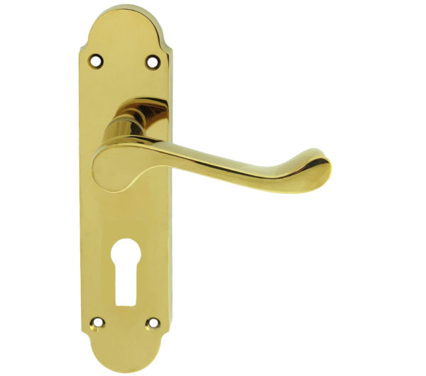 Oakley Door Handles On Backplate, Polished Brass (sold in pairs)