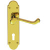 Oakley Door Handles On Backplate, PVD Stainless Brass (sold in pairs)