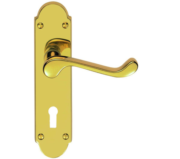 Oakley Door Handles On Backplate, PVD Stainless Brass (sold in pairs)