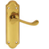 Ashtead Door Handles On Backplate, Polished Brass (sold in pairs)