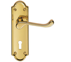 Ashtead Door Handles On Backplate, PVD Stainless Brass (sold in pairs)