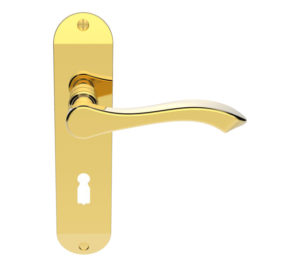Andros Door Handles On Backplate, Polished Brass (sold in pairs)