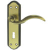 Wentworth Door Handles On Backplate, Florentine Bronze (sold in pairs)