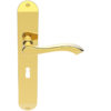 Andros Door Handles On Long Backplate, Polished Brass (sold in pairs)