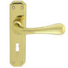 Eden Door Handles On Backplate, Polished Brass (sold in pairs)