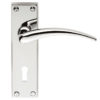 Wing Door Handles On Backplate, Polished Chrome (sold in pairs)