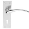 Wing Door Handles On Backplate, Satin Chrome (sold in pairs)