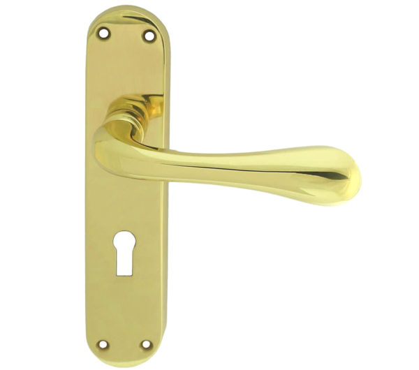 Manital Astro Door Handles On Backplate, Polished Brass (sold in pairs)