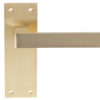 Sasso Door Handles On Slim Backplate, Satin Brass (sold in pairs)