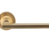 Trentino Door Handles On Round Rose, Satin Brass (sold in pairs)