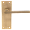 Trentino Door Handles On Slim Backplate, Antique Brass (sold in pairs)