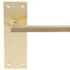 Trentino Door Handles On Slim Backplate, Satin Brass (sold in pairs)