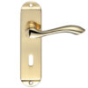 Zoo Hardware Fulton & Bray Arundel Door Handles On Backplate, Polished Brass (sold in pairs)