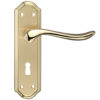 Zoo Hardware Fulton & Bray Lincoln Door Handles On Backplate, Dual Finish Satin Brass & Polished Brass (sold in pairs)