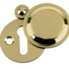 Zoo Hardware Fulton & Bray Standard Profile Covered Escutcheon, Polished Brass