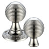 Zoo Hardware Fulton & Bray Queen Anne Rim Door Knobs, PVD Stainless Nickel (sold in pairs)