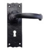 Zoo Hardware Foxcote Foundries Traditional Door Handles On Backplate, Black Antique (sold in pairs)