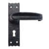 Zoo Hard Foxcote Foundries Traditional Slimline Door Handles On Backplate, Black Antique (sold in pairs)