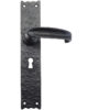 Zoo Hardware Foxcote Foundries Traditional Door Handles On Long Backplate, Black Antique (sold in pairs)