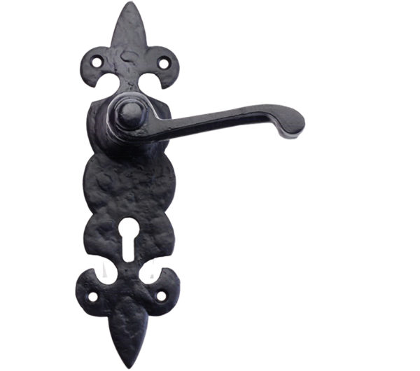 Zoo Hardware Foxcote Foundries Fleur De Lys Door Handles On Backplate, Black Antique (sold in pairs)