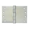 Stainless Steel Projection Hinge-Washered -100x100x3.5mm