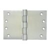 Stainless Steel Projection Hinge-Washered -100x200x3.5mm