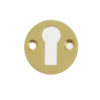 Frelan Hardware Standard Profile Round Escutcheon, Satin Brass