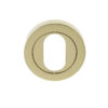 Frelan Hardware Oval Profile Escutcheon, PVD Stainless Brass