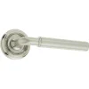 Elise Door Handle on Rose Satin Nickel