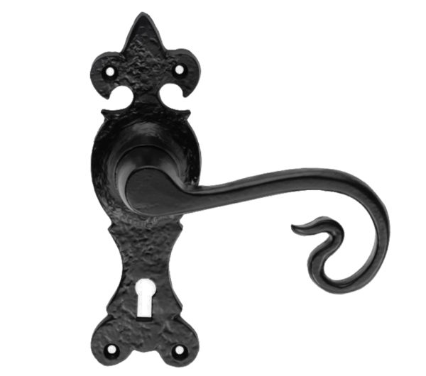 Ludlow Foundries Curly Tail Door Handles On Gothic Backplate, Black Antique (sold in pairs)