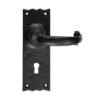 Ludlow Foundries Traditional Door Handles On Backplate, Black Antique (sold in pairs)