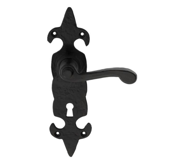 Ludlow Foundries Fleur De Lys Door Handles On Backplate, Black Antique - LF5504 (sold in pairs)