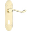 Zoo Hardware Project Range Oxford Door Handles On Backplate, Electro Brass (sold in pairs)