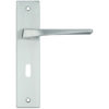 Zoo Hardware Rosso Maniglie Lyra Door Handles On Backplate, Satin Chrome (sold in pairs)