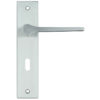 Zoo Hardware Rosso Maniglie Draco Door Handles On Backplate, Satin Chrome (sold in pairs)