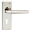 Serozzetta Residential Quaranta Door Handles On Backplate, Dual Finish Polished Nickel & Satin Nickel (sold in pairs)