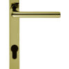 Rosa Narrow Plate, 92mm C/C, Euro Lock, PVD Stainless Brass Door Handles (sold in pairs)