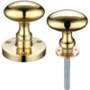 Zoo Hardware Contract Oval Rim Door Knobs, Polished Brass (sold in pairs)