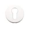 Zoo Hardware ZCS Architectural Euro Profile Escutcheon, Polished Stainless Steel