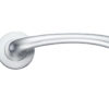 Zoo Hardware Stanza Assisi Lever On Round Rose, Satin Chrome (sold in pairs)