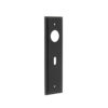 200x55mm AB Key 57mm C/C back plates for lever on rose