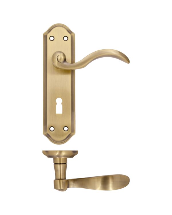 Zoo Hardware Fulton & Bray Winchester Door Handles On Backplate, Florentine Bronze (Sold In Pairs)