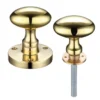 Polished Brass