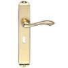 Arundel Door Handles On Long Backplate, Polished Brass (sold in pairs)