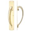 Cast Brass Large Pull Handle with Backplate