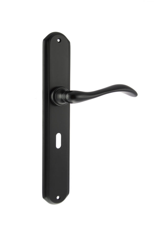 Forme Valence Solid Brass Key Lever Door Handle on Backplate - Matt Black