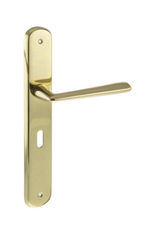 Forme Brigette Solid Brass Key Lever Door Handle on Backplate - Polished Brass